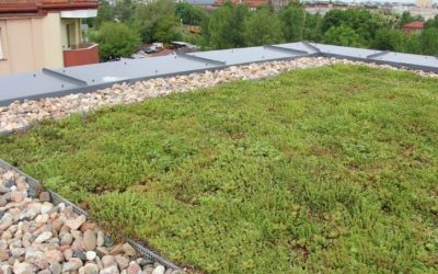 Zelené strechy na kontajneroch: výhody a tipy