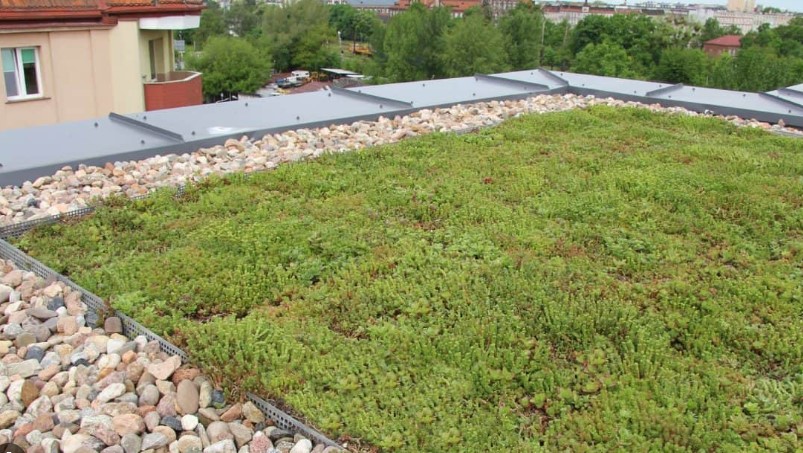 Green roofs on containers