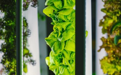 Portable gardens and vertical farms in containers