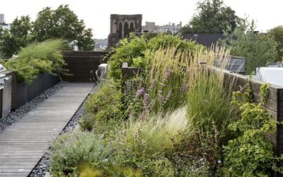 Tworzenie zielonych przestrzeni i ogrodów na dachach biur kontenerowych