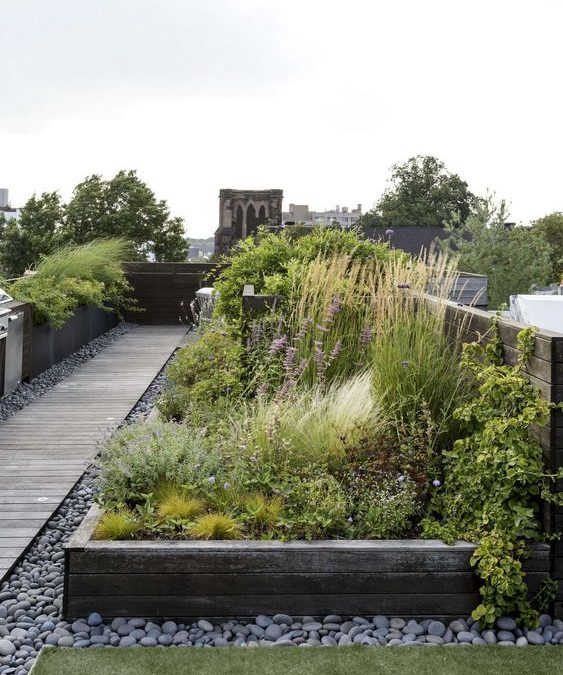 Creating green spaces and gardens on the roofs of container offices